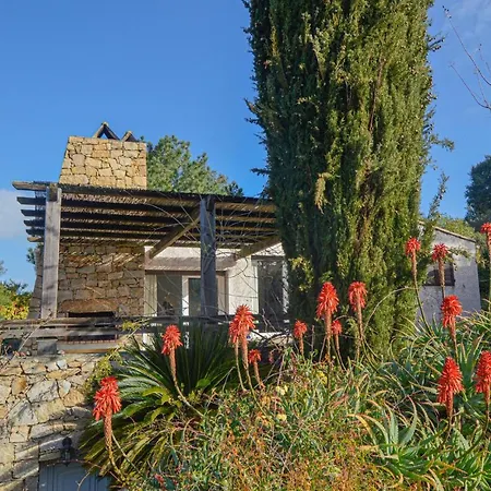 Lovely In With Wifi Porticcio (Corsica)