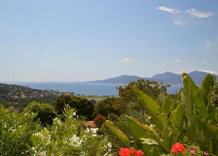 Lovely In With Wifi Porticcio (Corsica)